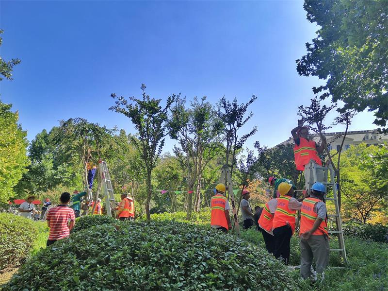 ld（中国）官方网站承办全市住建系统园林绿化工职业技能大赛