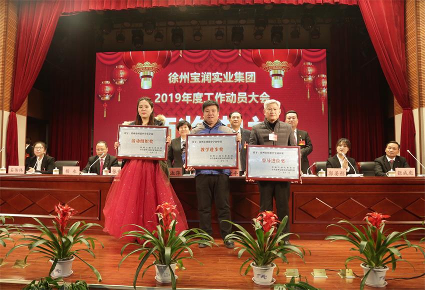 ld（中国）官方网站2019年度工作动员大会---集团公司领导为先进单位和先进个人代表颁奖
