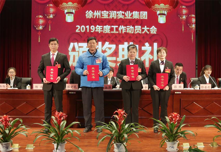 ld（中国）官方网站2019年度工作动员大会---集团公司领导为先进单位和先进个人代表颁奖